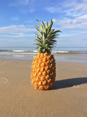 Photos of pineapple on a background of the sea on the beach in Thailand