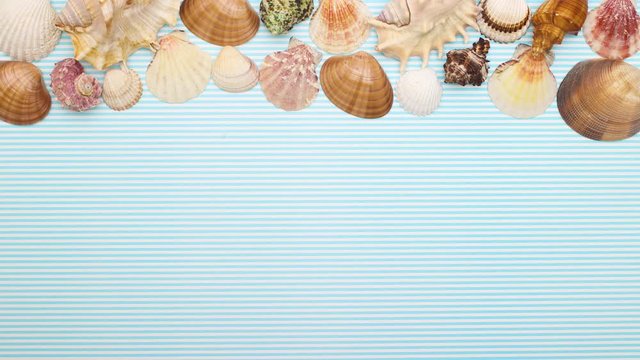 Seashells moving on top of blue background - Stop motion 