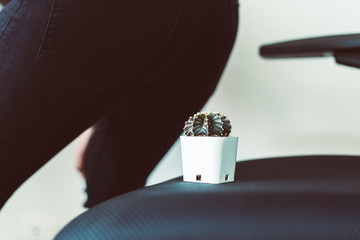 Woman ass sit down on a cactus and suffering from hemorrhoids