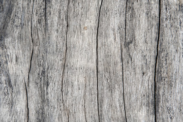 Rustic wooden pattern