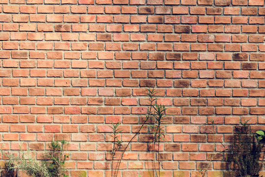 Outdoor brick wall
