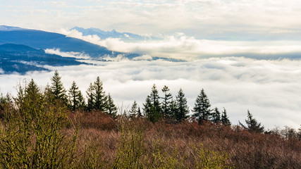 cloud inversion over Fraser Valley - winter
