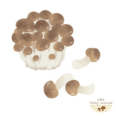 しめじのイラスト / 手描き風 / 秋の味覚 