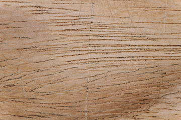 Fototapeta premium Wooden plank close up