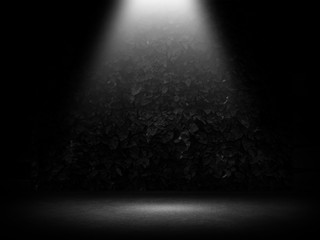 Studio room gradient background. Abstract black white gradient background.