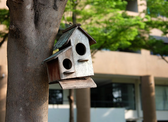 bird house hanging on tree branch