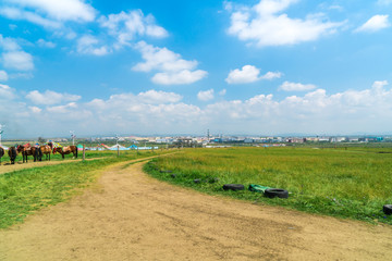 Horse colored prayer flags and yurts on the Jinyintan grassland in Qinghai, China. Horses on the Jinyintan grassland in Qinghai, China.