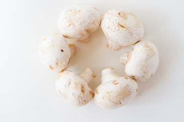 fresh porcini champignon mushrooms on a white table in the shape of a circle, top view