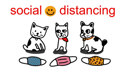 social distancing cat and dog