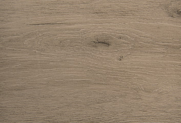 Textured wooden plank