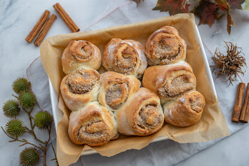 Cinnamon rolls with sugar frosting. With cinnamon sticks and spices