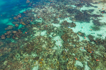 Fototapeta na wymiar Aerial view of swimming woman in Gam Gi island. Tropical sea in Phu Quoc island, Kien Giang, Vietnam. Summer seascape with girl and men, clear azure water, waves at sunrise. Transparent water. 