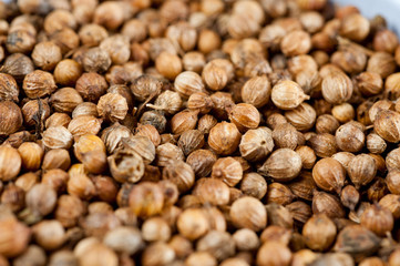 Coriander grains shot large on a wooden background. Background for spices and cuisine.