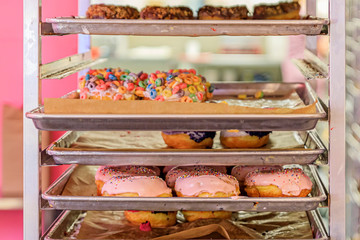 Freshly made donuts on rolling rack ready to be put on display in popular specialty doughnut chain shop, selective focus