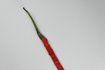 Red Chili with white isolated background
