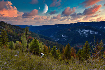 Alien Landscape I © Brian