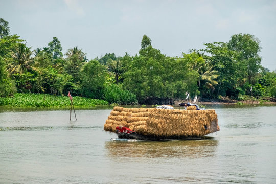 Boat transporting poultry on the Mekong River. Vinh Long, Vietnam, Mekong delta.