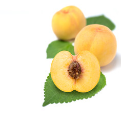 Fresh Golden Peach fruits on white background, Honey Yellow Peach isolated on white background,