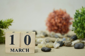 March 10, Number cube design in natural concept.