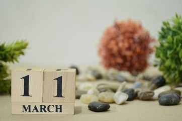 March 11, Number cube design in natural concept.