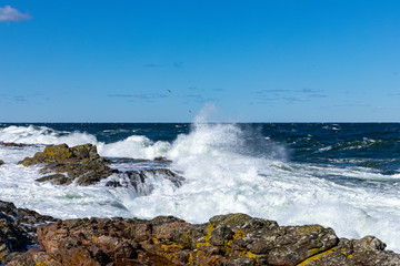 Wave hitting the shore