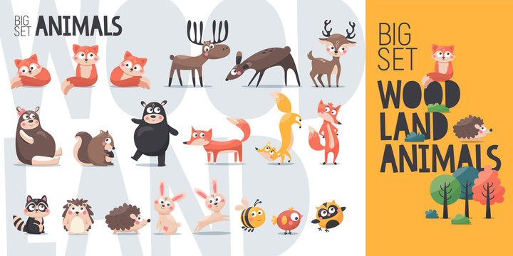 Big vector cartoon collection of wild woodland forest animals: bear, fox, deer, reindeer, elk, squirrel, hedgehog, hare, bird, owl, raccoon