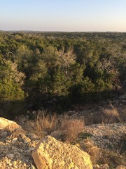 Texas Landscape