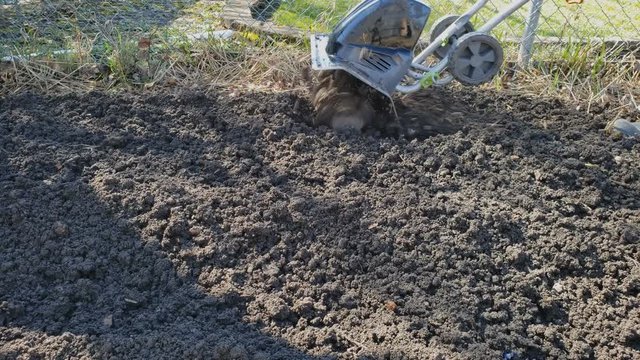 Home gardening - Preparing garden soil using electric soil cultivator or tiller to soften and break apart clumps of soil at back yard garden.