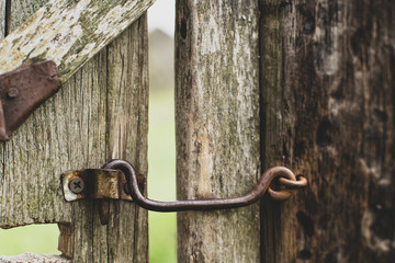 Old metal hook on a wooden gate, in a rustic courtyard. Closed door. Rural traditions.