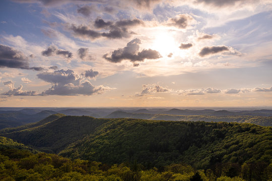 Wald und Landschaft