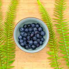 Fresh blueberry in bowl with green fern. Top view. Concept of healthy and dieting eating
