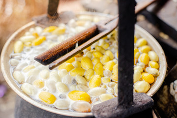 silk worms yellow from farm