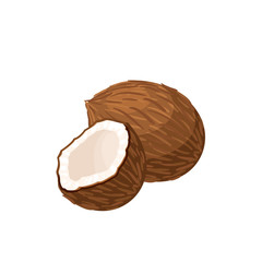 Coconut, whole fruit and half. Vector illustration cartoon flat icon isolated on white.