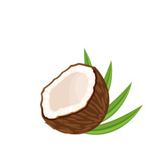 Coconut, half fruit and leaves. Vector illustration cartoon flat icon isolated on white.