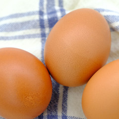 Close-up view of raw chicken eggs on background © ric