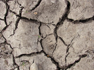 dry cracked earth
