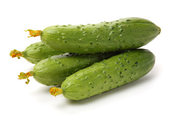 Green cucumber on the white background