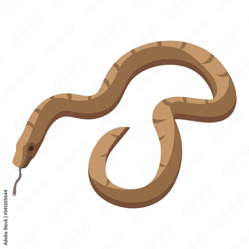 Poster forest snake icon. isometric of forest snake vector icon for web design isolated on white background
