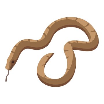 Forest snake icon. Isometric of forest snake vector icon for web design isolated on white background