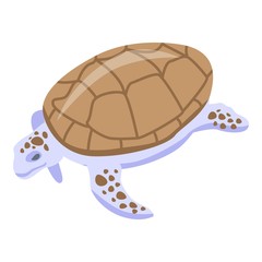 White brown turtle icon. Isometric of white brown turtle vector icon for web design isolated on white background