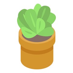 Succulent houseplant icon. Isometric of succulent houseplant vector icon for web design isolated on white background