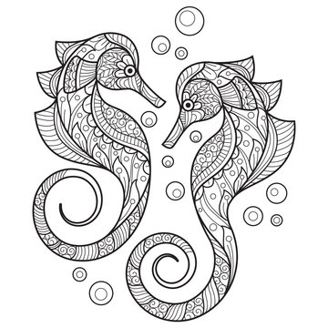 Beautiful seahorse.Hand drawn sketch illustration for adult coloring book.