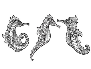 Sea horse pattern. Hand drawn sketch illustration for adult coloring book. © kaewta
