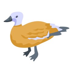 Duck bird icon. Isometric of duck bird vector icon for web design isolated on white background