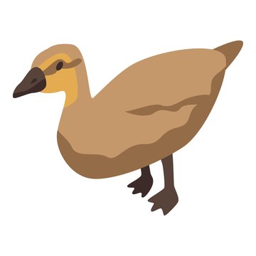 Animal duck icon. Isometric of animal duck vector icon for web design isolated on white background