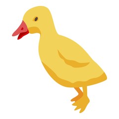 Yellow kid duck icon. Isometric of yellow kid duck vector icon for web design isolated on white background