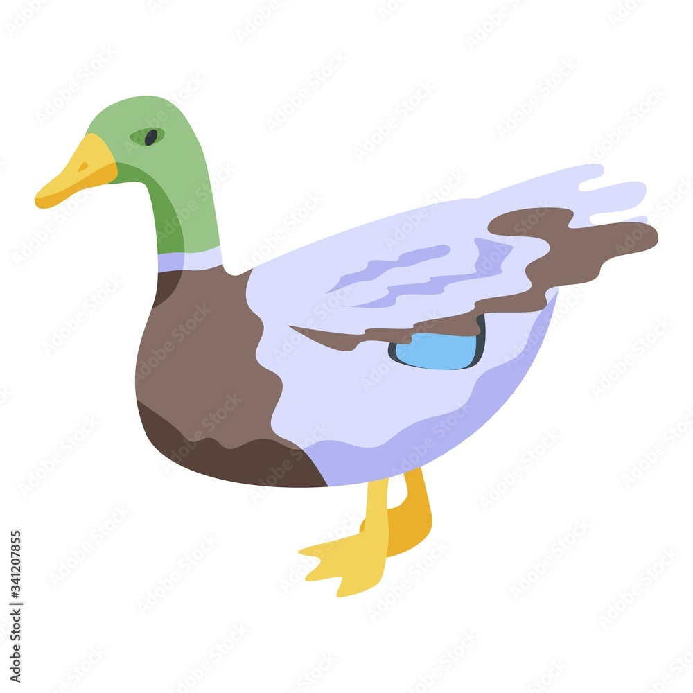 Poster nature colorful duck icon. isometric of nature colorful duck vector icon for web design isolated on 