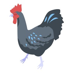 Black rooster icon. Isometric of black rooster vector icon for web design isolated on white background