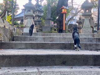 澤蔵司稲荷神社