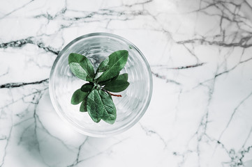 transparent glass of water with greenery on the marble surface.